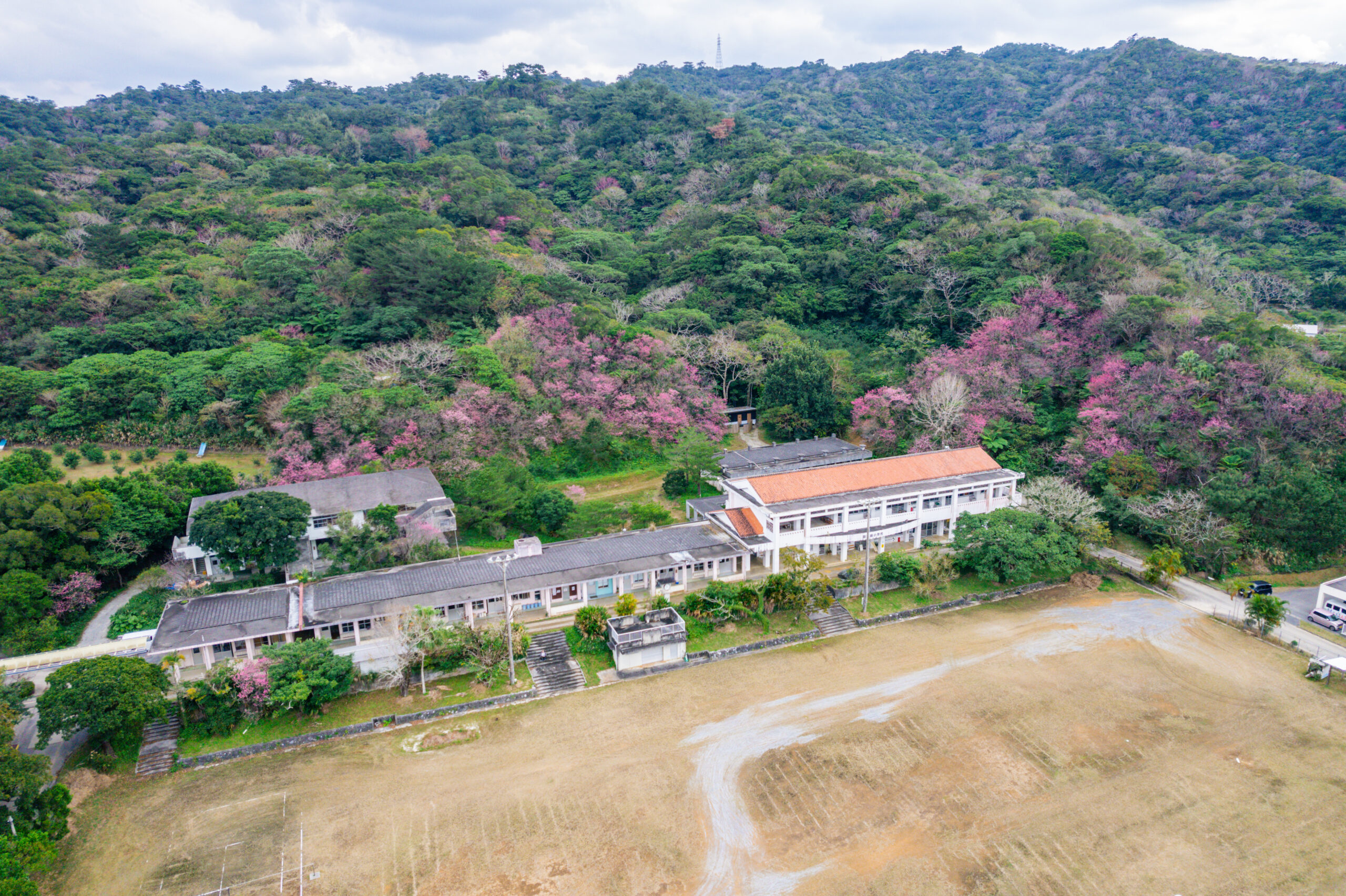 沖縄喜如嘉 — 山桜と建物の航空写真